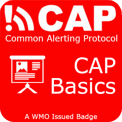 CAP basics badge