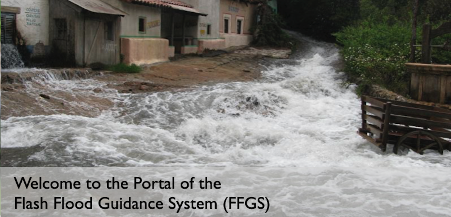 FFGS Portal