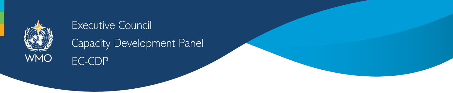 Capacity Development Panel